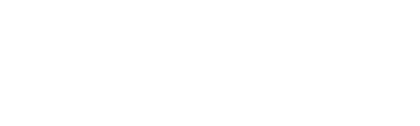 Vision Fitness logo