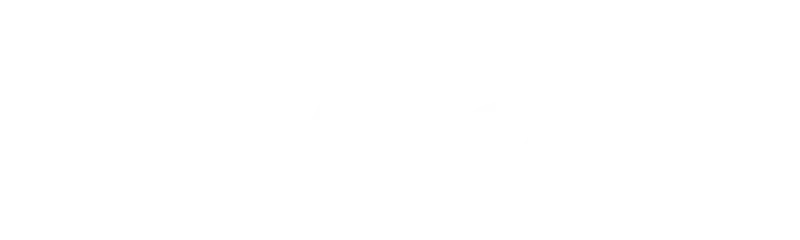 Vision Fitness logo
